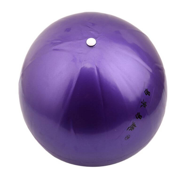 Ballon de Pilates, 58 cm, Antidérapant, Anti-crevaison, Comprend un  gonfleur, Lavable, Violet, PY-01